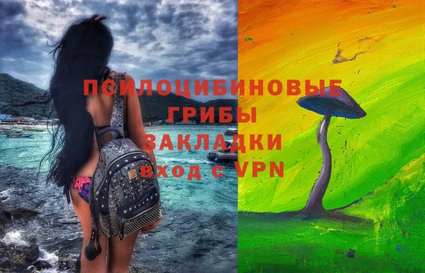 ГАЛЛЮЦИНОГЕННЫЕ ГРИБЫ Ладушкин