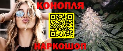 mdpv Заводоуковск