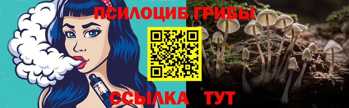 Лесной  Псилоцибиновые грибы мухоморы  купить закладку  Вход с VPN 